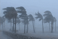How are Florida Insurance companies dealing with claims due to Hurricane Ian’s circumstances?